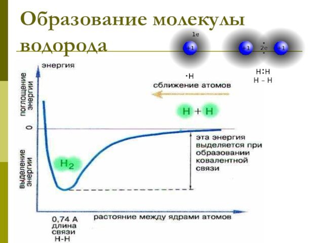 Образование молекулы водорода