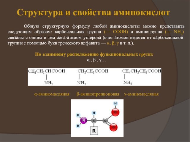 Структура и свойства аминокислот   Общую структурную формулу любой аминокислоты можно