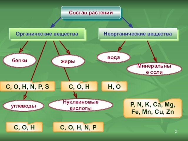 Состав растенийОрганические вещества Неорганические веществабелкижирыуглеводыНуклеиновые кислотыH, OP, N, K, Ca, Mg, Fe,