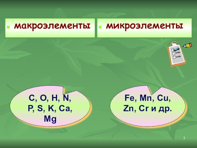 макроэлементымикроэлементыFe, Mn, Cu, Zn, Cr и др.C, O, H, N, P, S, K, Ca, Mg