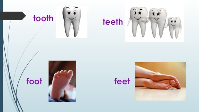 toothteethfootfeet