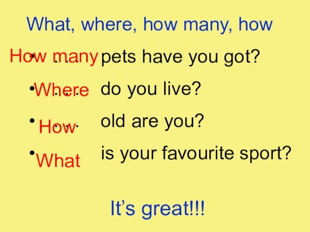 What, where, how many, how . . . pets have you got? . . .