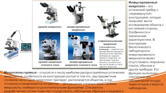 Микроскопы прямые – относятся к числу наиболее распространённых оптических микроскопов, особенность их конструкции состоит в