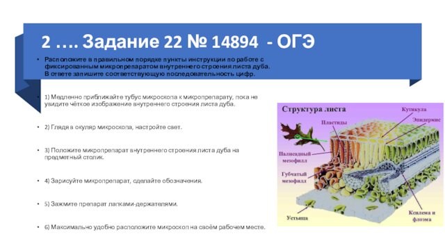 2 …. Задание 22 № 14894 - ОГЭ
 Расположите в правильном порядке пункты инструкции по