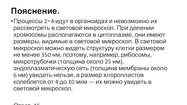 Пояснение.
 Процессы 2−4 идут в органоидах и невозможно их рассмотреть в световой микроскоп. При делении