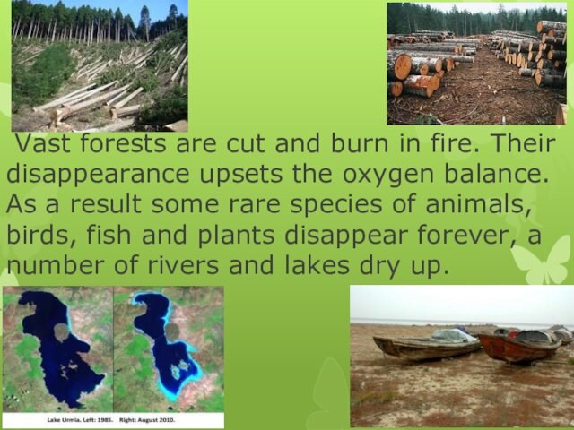 Vast forests are cut and burn in fire. Their disappearance upsets the oxygen balance.