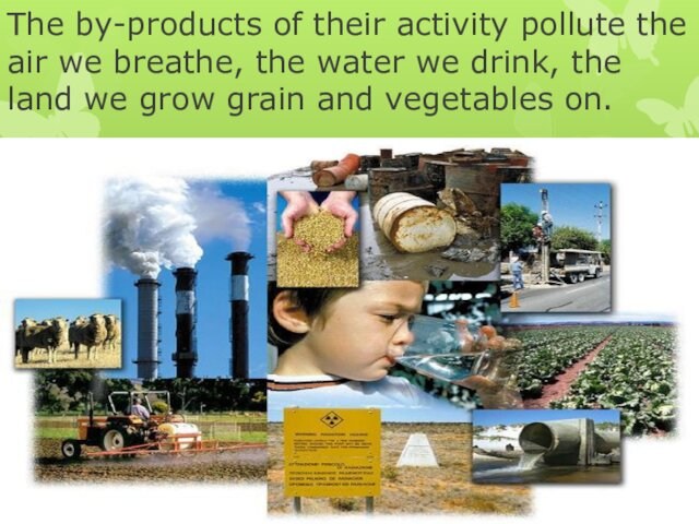 The by-products of their activity pollute the air we breathe, the water we drink, the