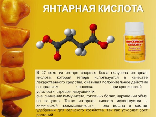 Действие янтарной кислоты. Получение янтарной кислоты.