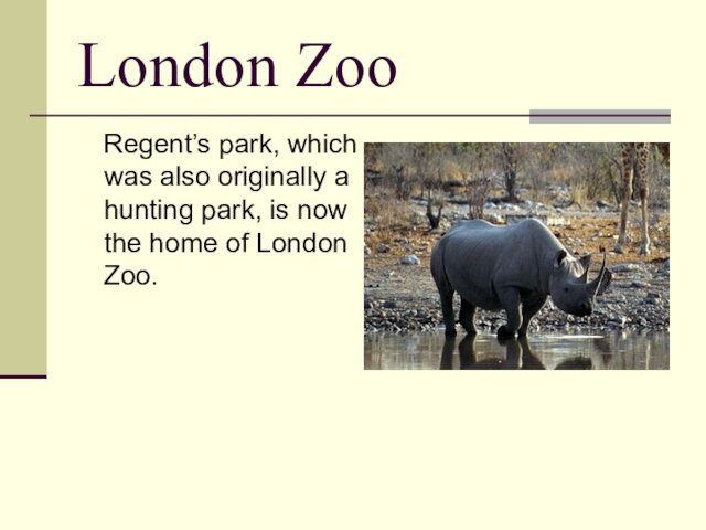London Zoo  Regent’s park, which was also originally a hunting park,