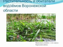 Растительность и обитатели водоёмов Воронежской области
