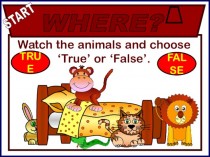 Watch the animals and choose true ‘true’ or ‘false’. False