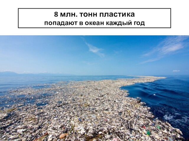 8 млн. тонн пластика попадают в океан каждый год