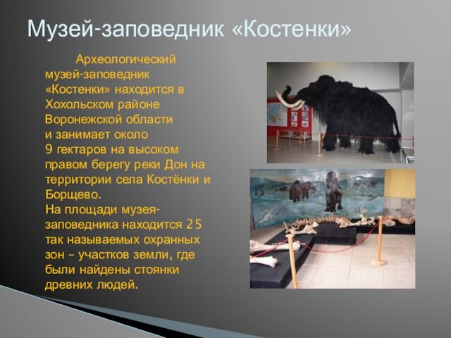 Музей-заповедник «Костенки»       Археологический музей-заповедник «Костенки» находится в Хохольском районе