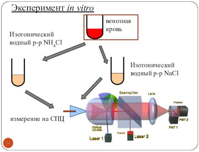 Эксперимент in vitroИзотонический водный р-р NH4Clизмерение на СПЦИзотонический водный р-р NaCl