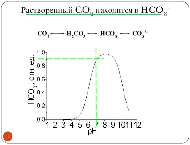 Растворенный CO2 находится в HCO3-