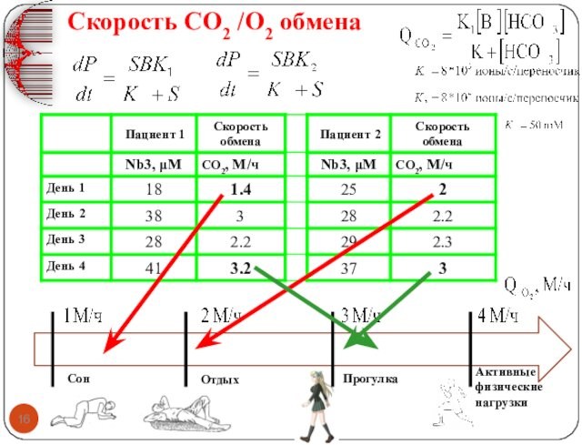СонОтдыхПрогулкаАктивные физические нагрузкиСкорость CO2 /O2 обмена