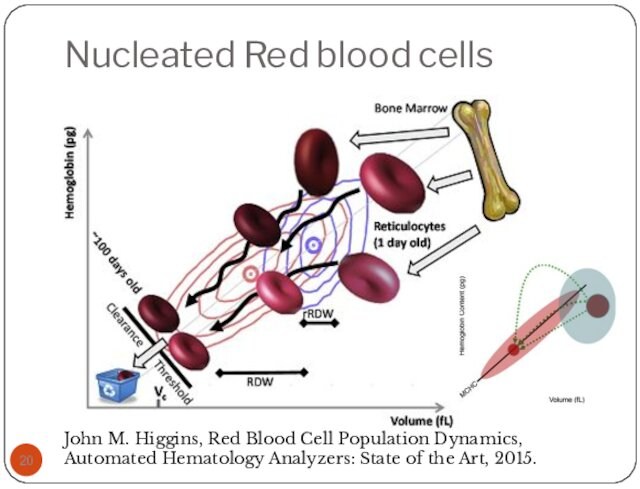 Nucleated Red blood cellsJohn M. Higgins, Red Blood Cell Population Dynamics, Automated Hematology Analyzers: State