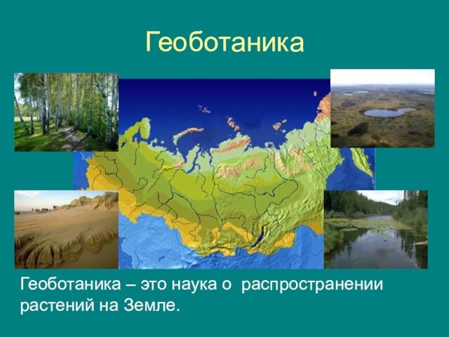 ГеоботаникаГеоботаника – это наука о распространении растений на Земле.