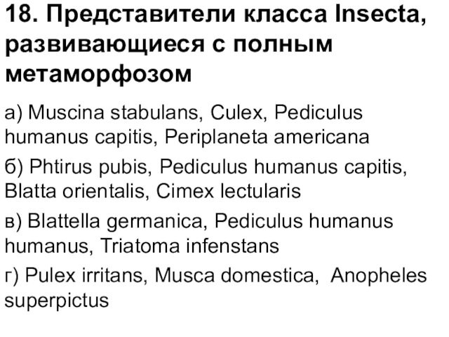 18. Представители класса Insecta, развивающиеся с полным метаморфозома) Muscina stabulans, Culex, Pediculus humanus capitis, Periplaneta