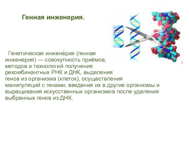 Генная инженерия. Генетическая инжене́рия (генная инженерия) — совокупность приёмов,методов и технологий получения рекомбинантных РНК и