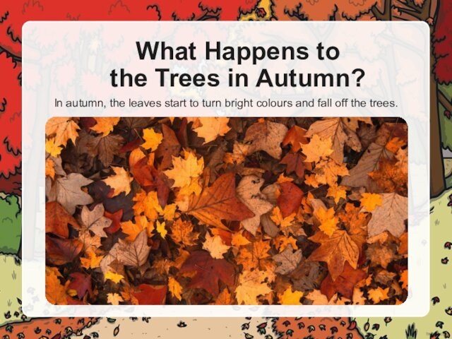 What Happens to  the Trees in Autumn?In autumn, the leaves start to turn bright