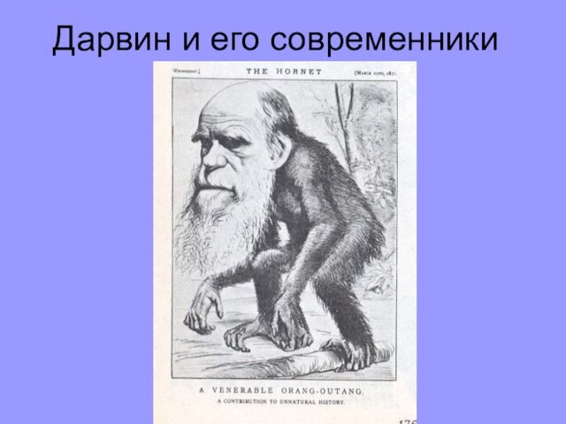 Дарвин и его современники