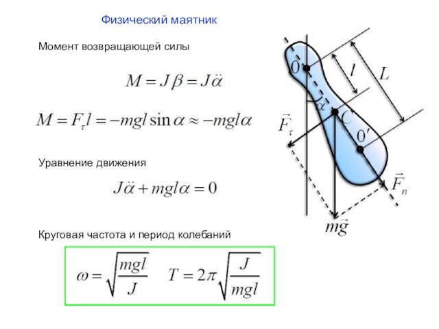 Физический маятник Момент возвращающей силы  Уравнение движения Круговая частота и период колебаний
