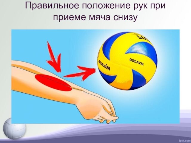 Правильное положение рук при приеме мяча снизу