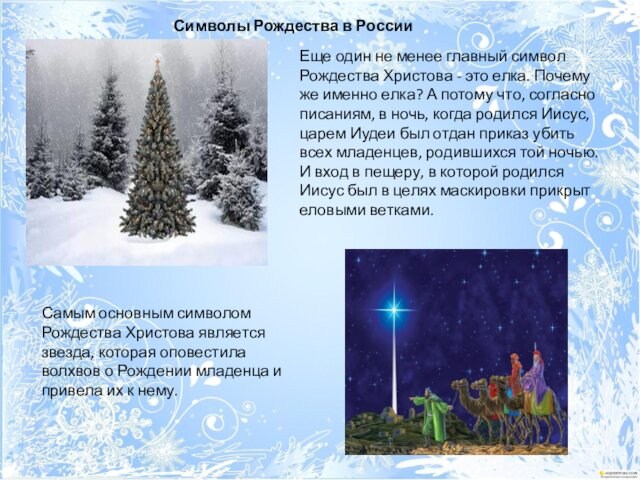 Еще один не менее главный символ Рождества Христова - это елка. Почему же именно елка?