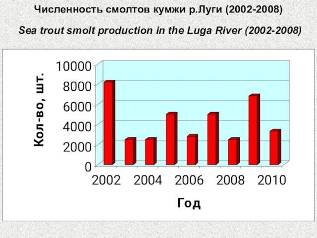 Численность смолтов кумжи р.Луги (2002-2008)   Sea trout smolt production in the Luga River
