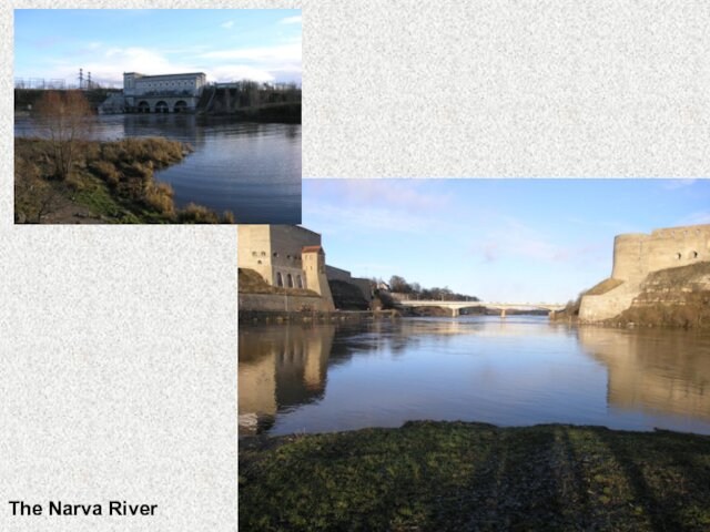 The Narva River