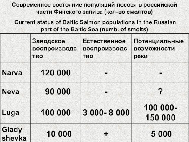 Современное состояние популяций лосося в российской части Финского залива (кол-во смолтов)  Current status of