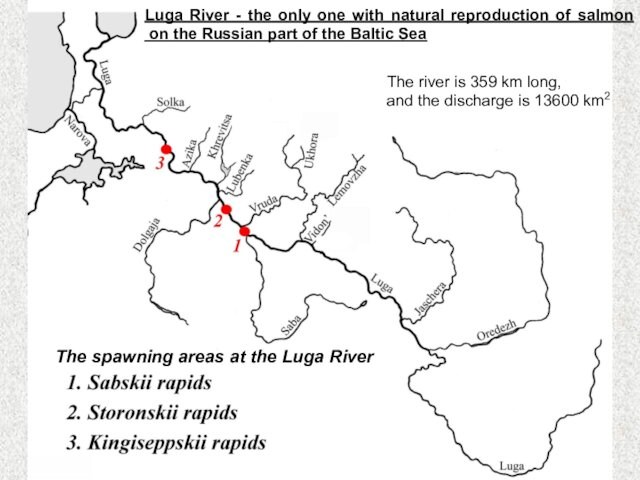 The river is 359 km long,  and the discharge is 13600 km2  The