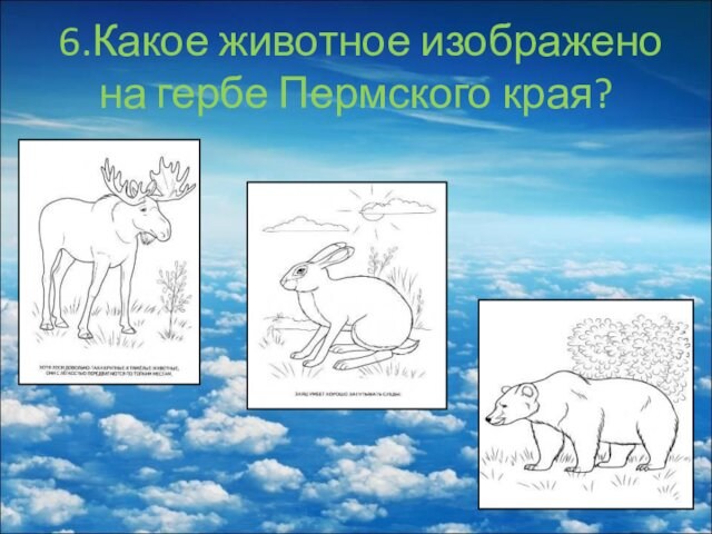 6.Какое животное изображено на гербе Пермского края?
