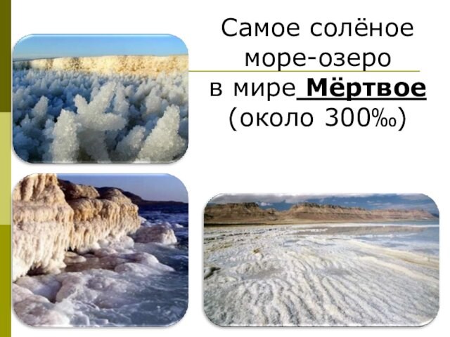 Самое солёное море-озеро в мире Мёртвое (около 300‰)