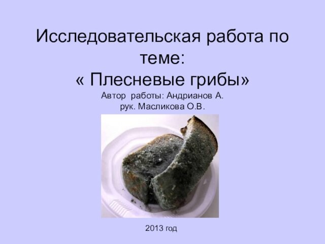 Исследовательская работа по теме:  « Плесневые грибы»  Автор работы: Андрианов А. рук. Масликова
