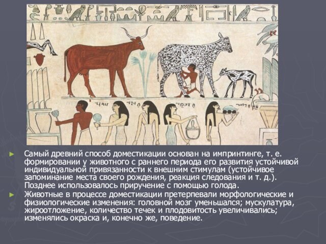 Самый древний способ доместикации основан на импринтинге, т. е. формировании у животного с