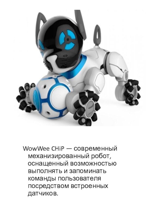 WowWee CHiP — современный механизированный робот, оснащенный возможностью выполнять и запоминать команды пользователя посредством встроенных датчиков.