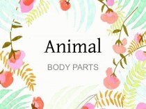 Animal body parts