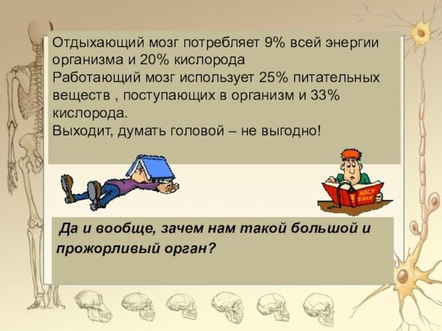 Отдыхающий мозг потребляет 9% всей энергии организма и 20% кислородаРаботающий мозг использует 25% питательных веществ