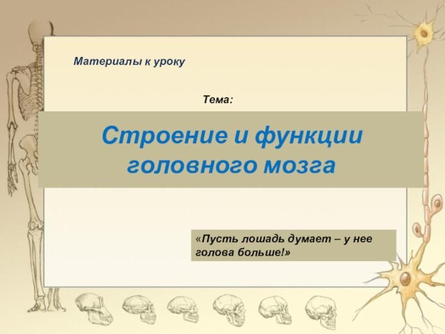 Строение и функции 
 головного мозга«Пусть лошадь думает – у нее голова больше!» Материалы к