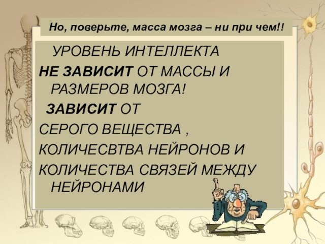 Но, поверьте, масса мозга – ни при чем!! УРОВЕНЬ ИНТЕЛЛЕКТА НЕ ЗАВИСИТ ОТ МАССЫ И