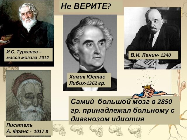 Самий большой мозг в 2850 гр. принадлежал больному с диагнозом идиотияНе ВЕРИТЕ? Химик Юстас Либих-1362