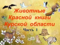 Животные Красной книги Курской области. Часть 1