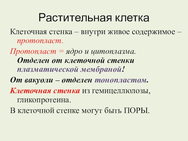 Растительная клеткаКлеточная стенка – внутри живое содержимое – протопласт.Протопласт = ядро и цитоплазма. 
 Отделен