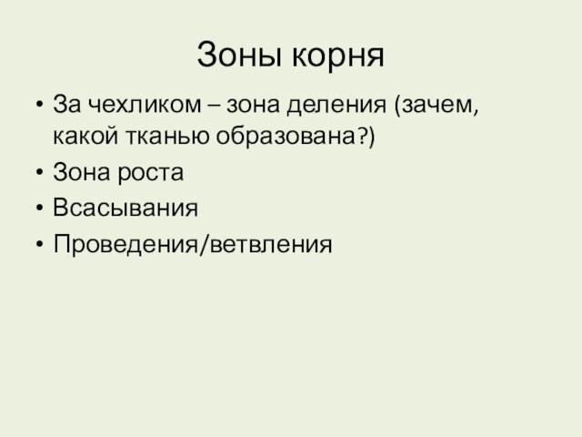 Зоны корняЗа чехликом – зона деления (зачем, какой тканью образована?)Зона ростаВсасыванияПроведения/ветвления