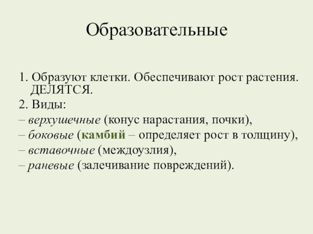 Образовательные1. Образуют клетки. Обеспечивают рост растения. ДЕЛЯТСЯ.2. Виды:– верхушечные (конус нарастания, почки), – боковые (камбий