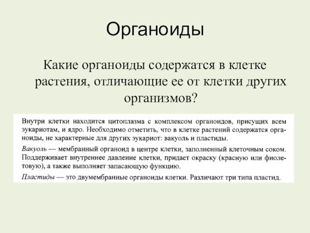 Органоиды Какие органоиды содержатся в клетке растения, отличающие ее от клетки других организмов?