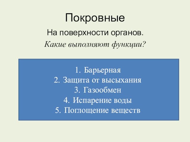 ПокровныеНа поверхности органов. Какие выполняют функции? БарьернаяЗащита от высыханияГазообменИспарение водыПоглощение веществ