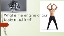 What is the engine of our body machine